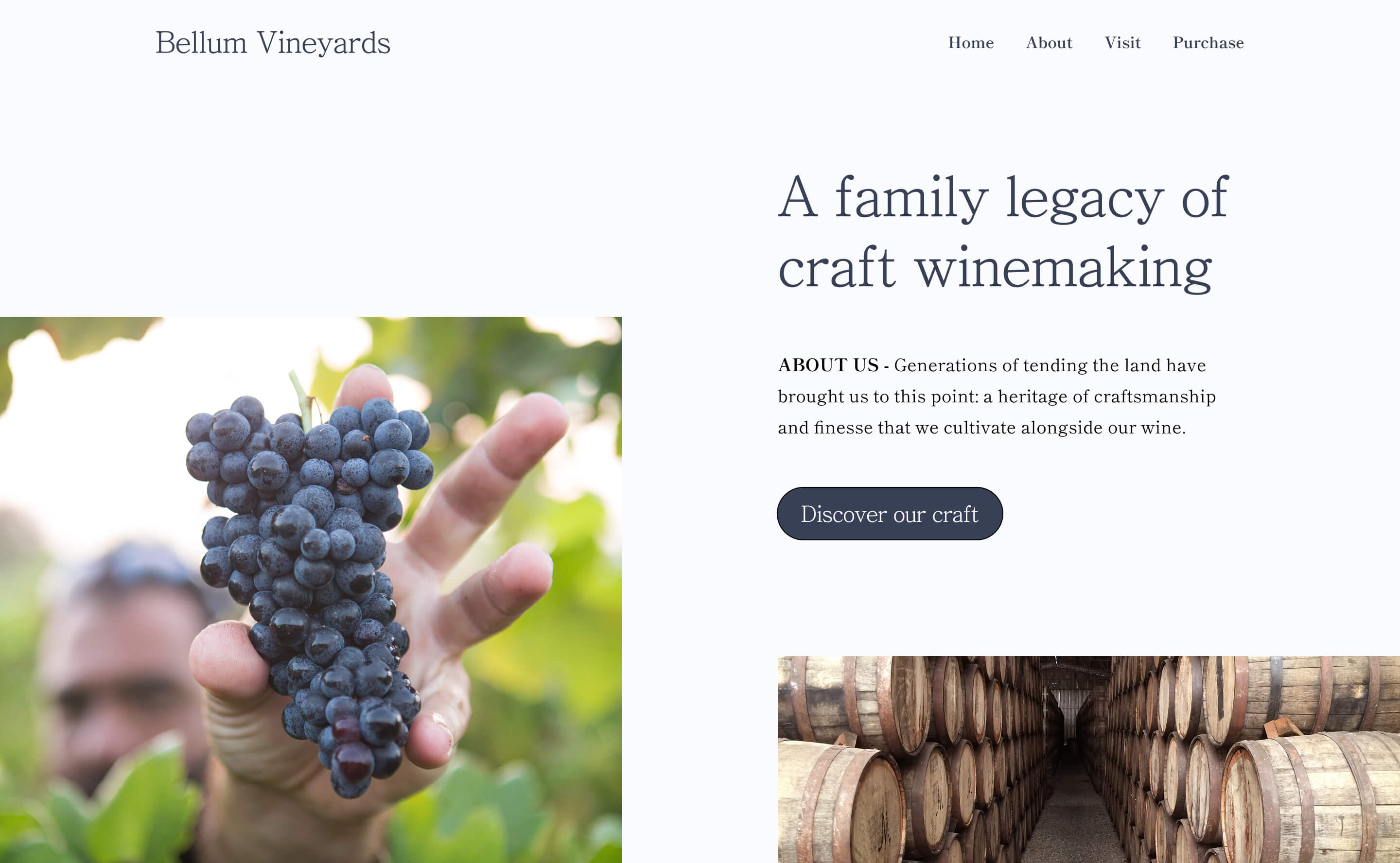 A warm, traditional vineyard website design, featuring lush grape imagery, perfect for engaging wine enthusiasts and promoting family heritage.