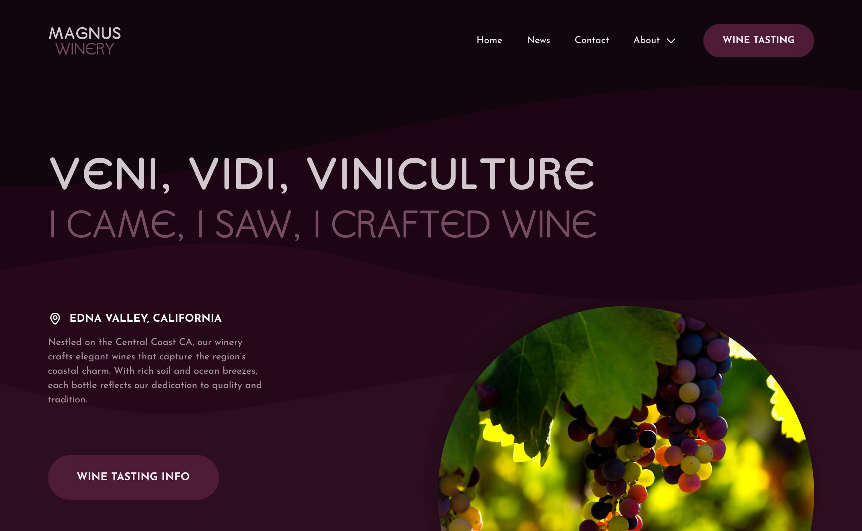 An elegant winery website with a dark theme and vibrant grape imagery, perfect for showcasing wine craftsmanship.