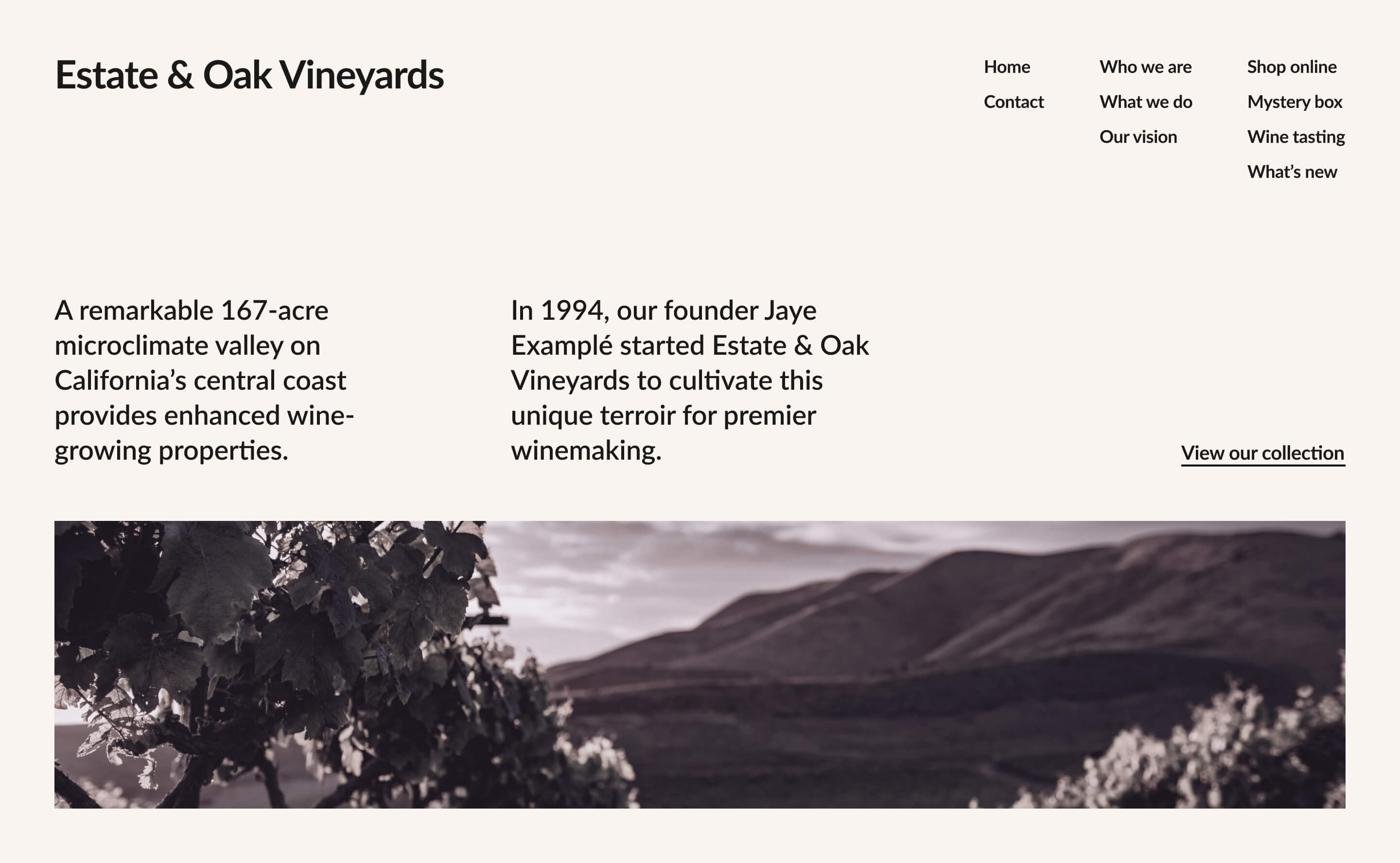 A classic and elegant website design with clean lines and subtle colors, perfect for boutique wineries aiming to showcase their vineyard's charm.