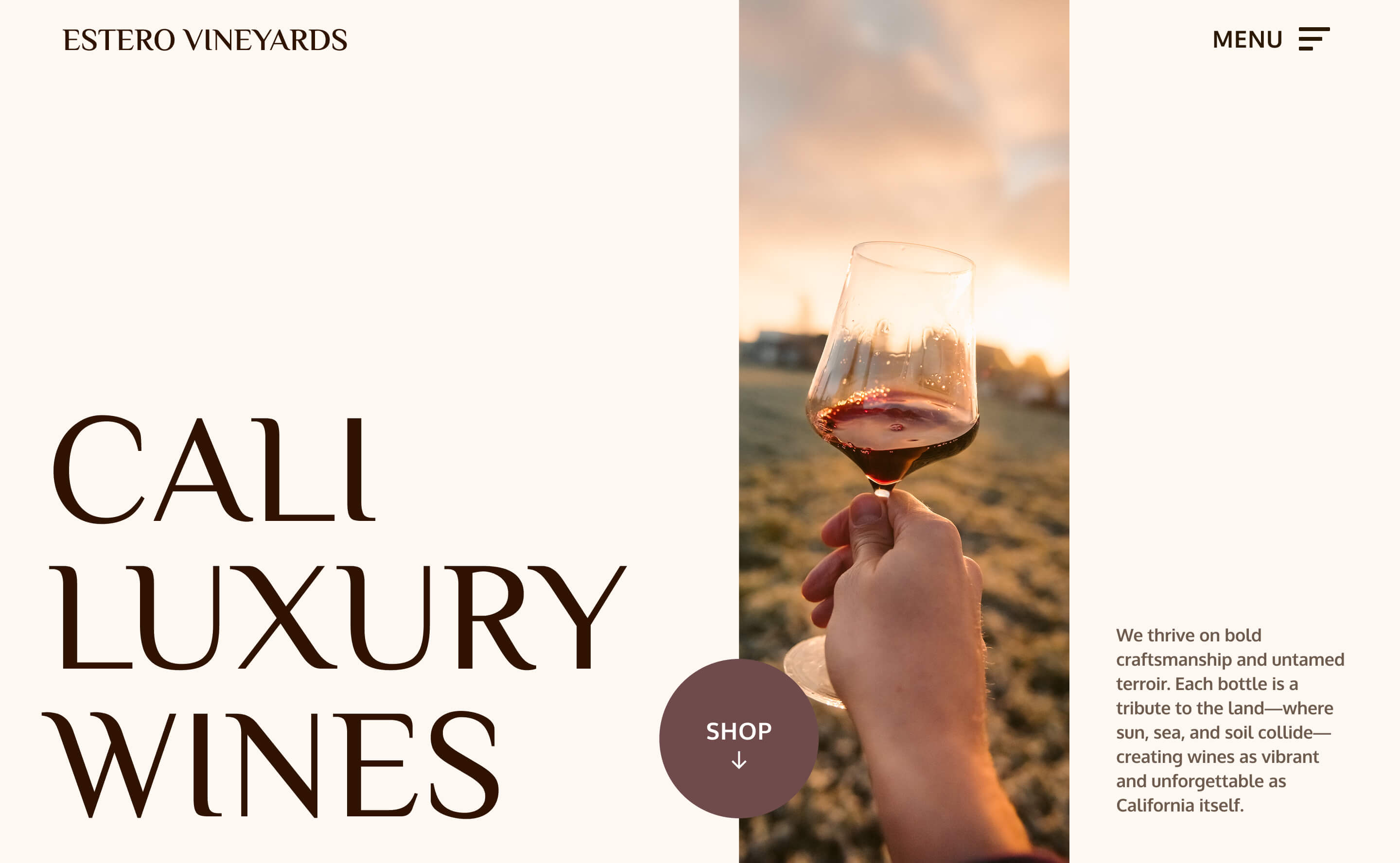A stylish and elegant website showcasing luxury wines, perfect for attracting wine enthusiasts seeking premium experiences.