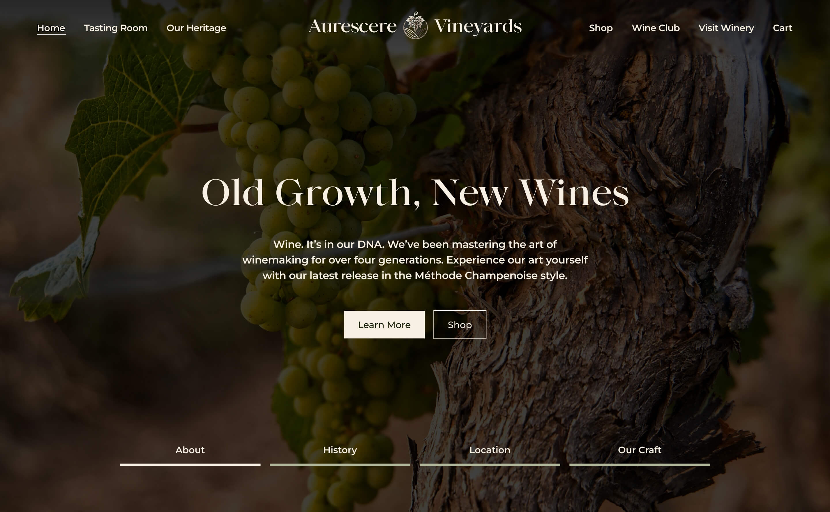A warm and inviting winery website design featuring lush grape imagery and elegant navigation, perfect for vineyard businesses.